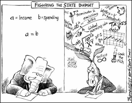 CA Budget Pic
